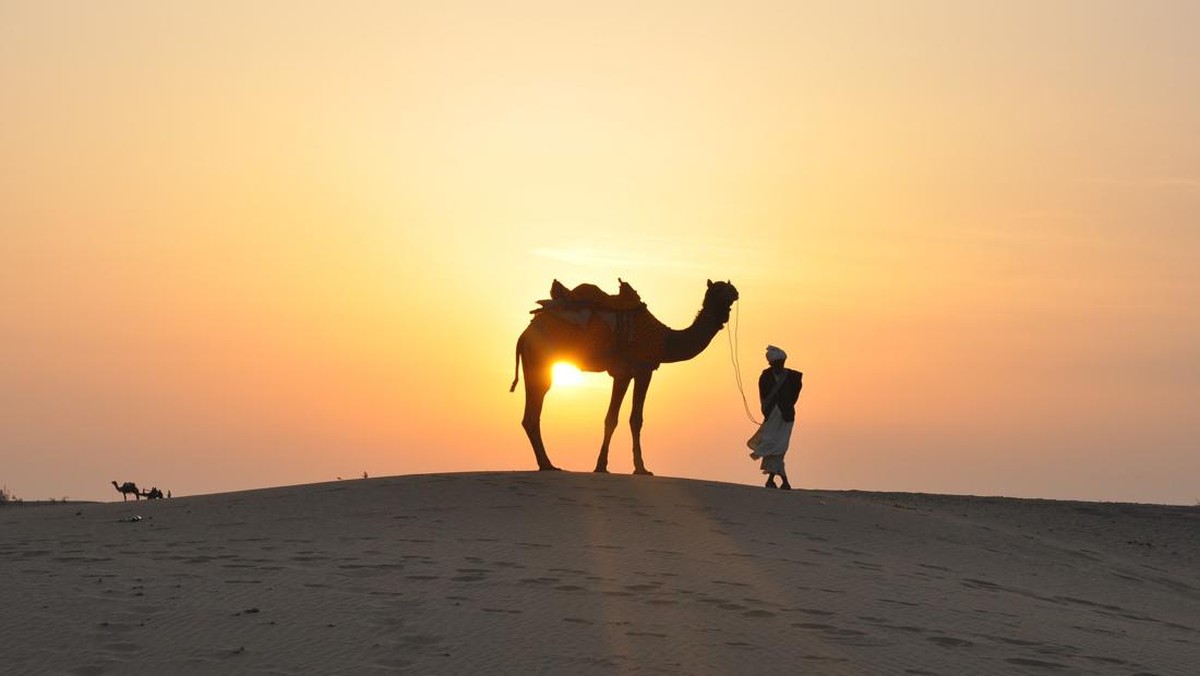 Foto: Unta di padang pasir. (Dok. Pixabay)