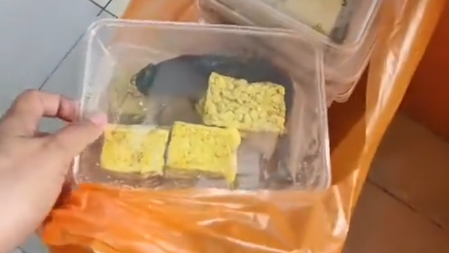 Skandal Lele Mentah Guncang Program Makan Bergizi Gratis: BGN Hentikan Operasional SPPG Pamekasan