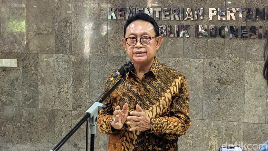 Lonjakan Produksi Sawit Nasional di Tengah Tantangan Peremajaan: GAPKI Optimis dengan Program Peningkatan Produktivitas