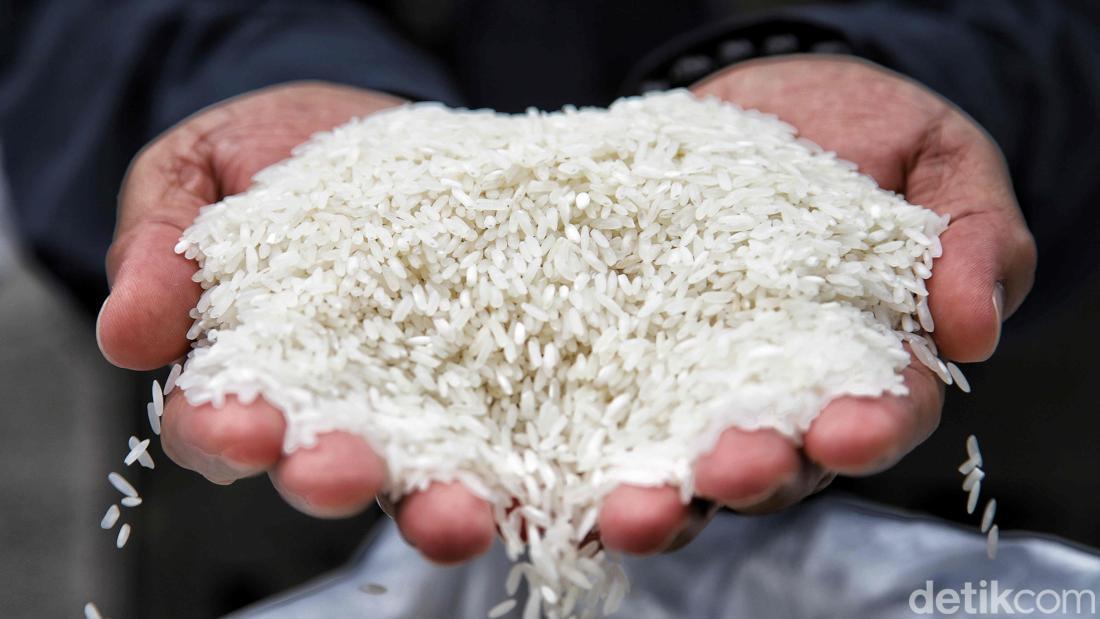 Jaminan Keamanan Pangan Nasional: Pemerintah Pastikan Stok Beras Aman Hingga Akhir Tahun 2026