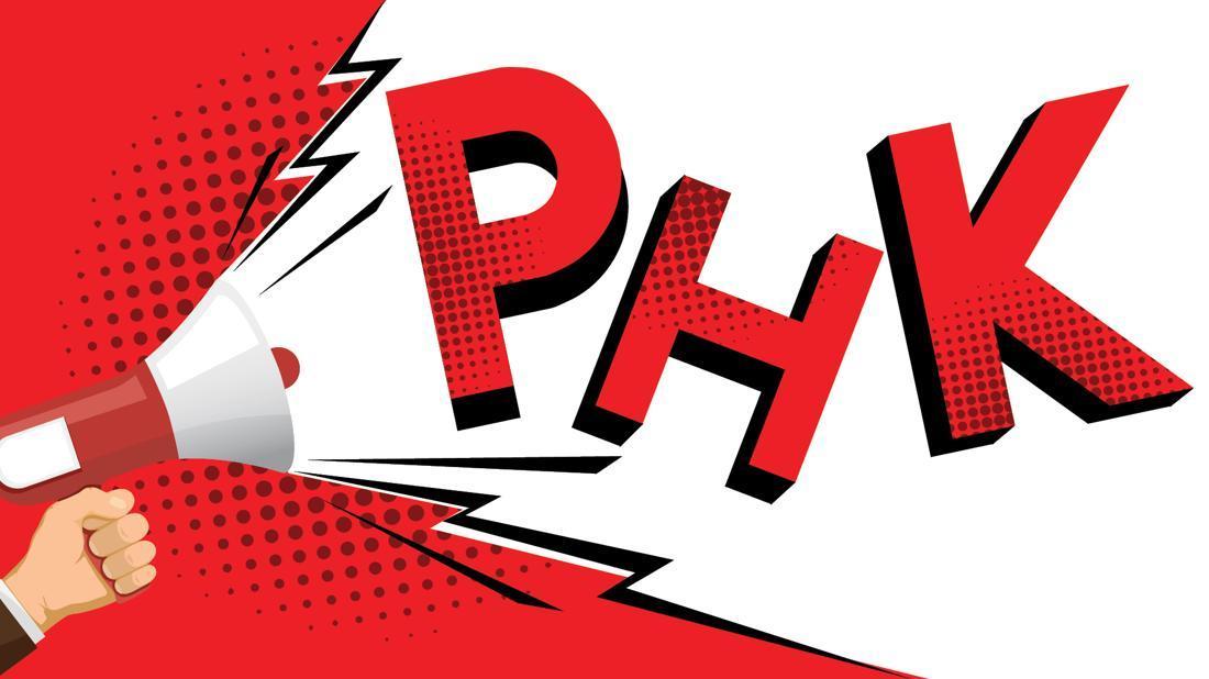 Analisis PHK Awal Tahun 2026: Jawa Barat dan Sumatera Selatan Catat Angka Tertinggi, Program JKP Jadi Penyelamat?