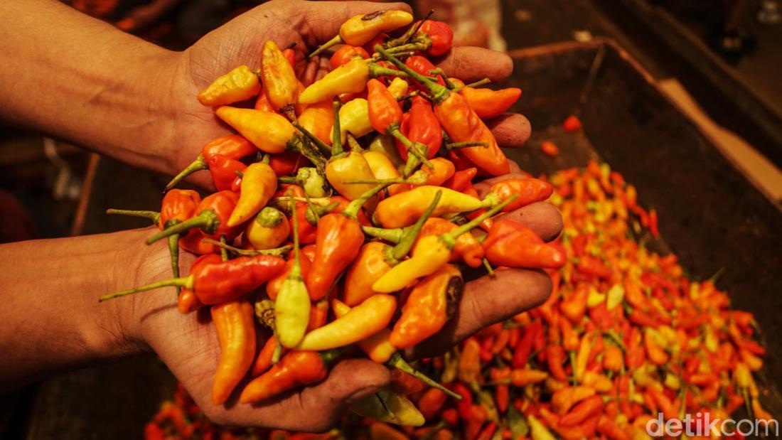 Gejolak Harga Pangan di Jakarta Awal Ramadan: Cabai Meroket, Pemerintah Berupaya Stabilisasi