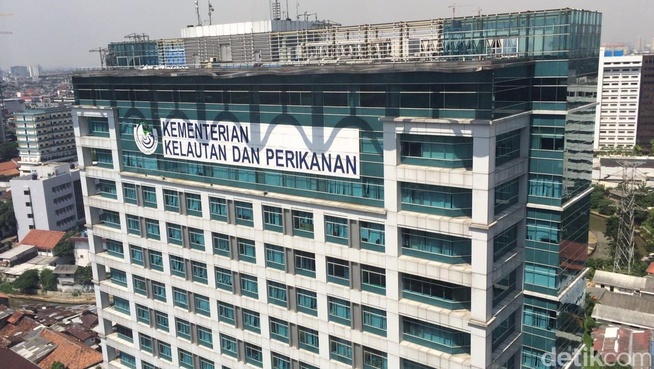 KKP Perketat Pengawasan Produk Perikanan Bebas Formalin: Sanksi Tegas Menanti Pelanggar