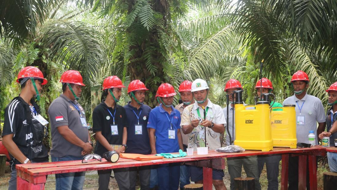 Transformasi Petani Sawit: Dari Kerugian Akibat Bibit Abal-Abal Hingga Kemandirian Berkat Pelatihan Berkelanjutan