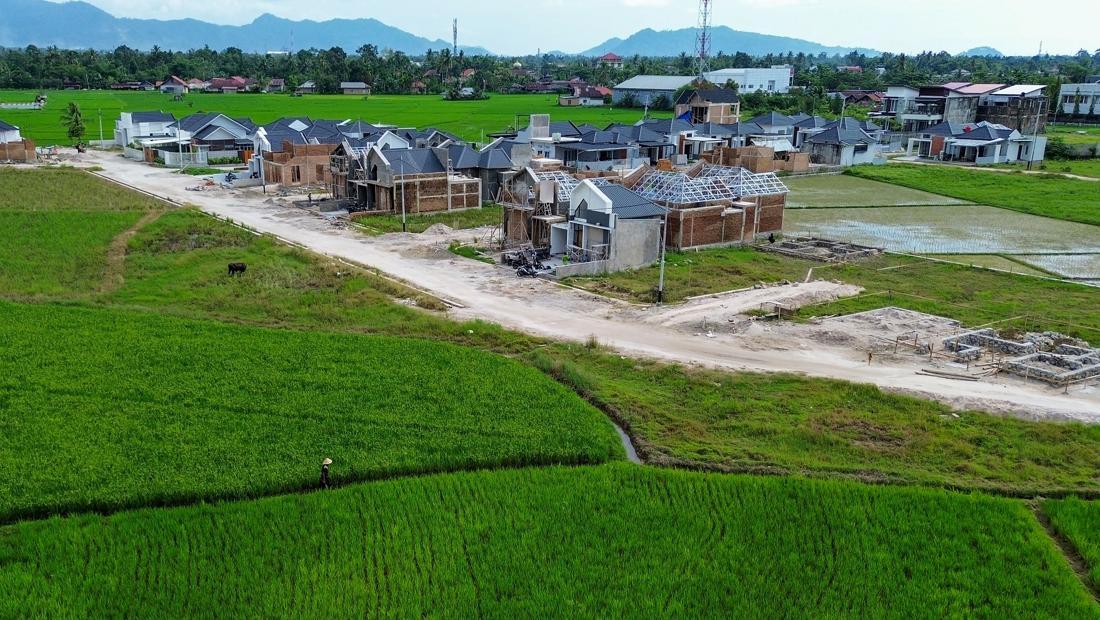 Dampak Banjir Sumatera Terhadap Sektor Pertanian: Kerusakan 94.000 Hektare Sawah dan Upaya Pemulihan yang Intensif